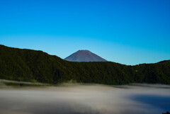 雲海と富士山