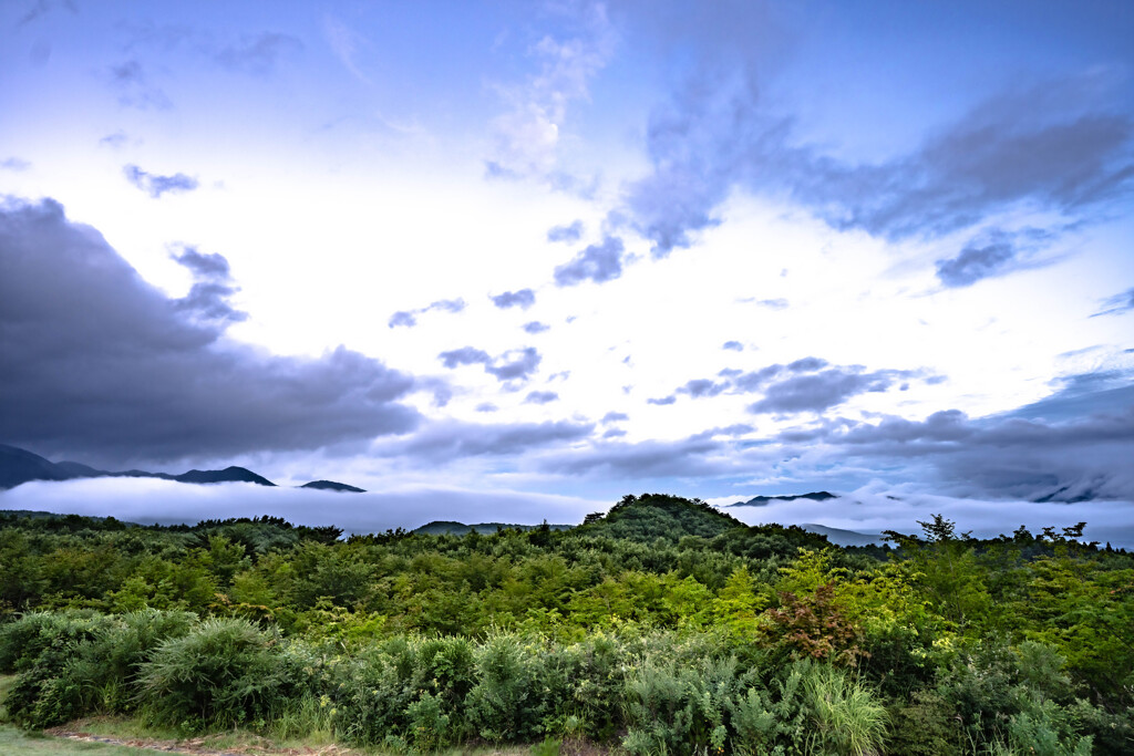 雲海…？