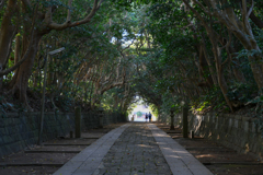 樹叢 