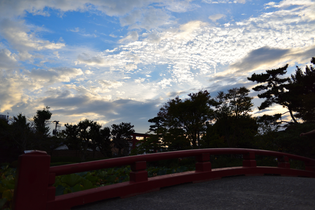 夜空の前に