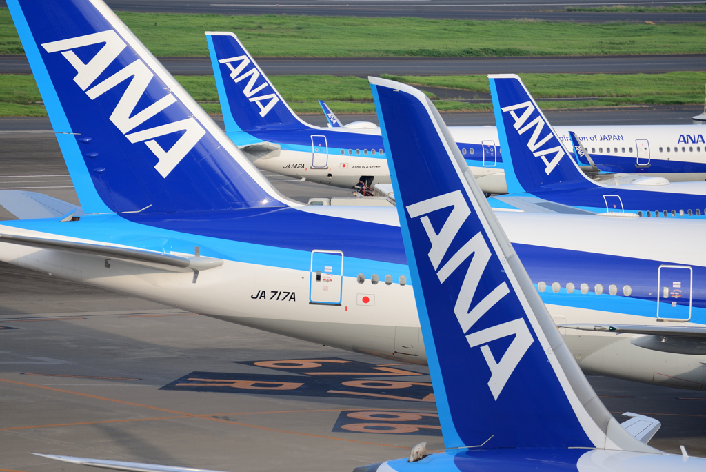 ANAだらけ