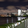 台場の夜を臨む