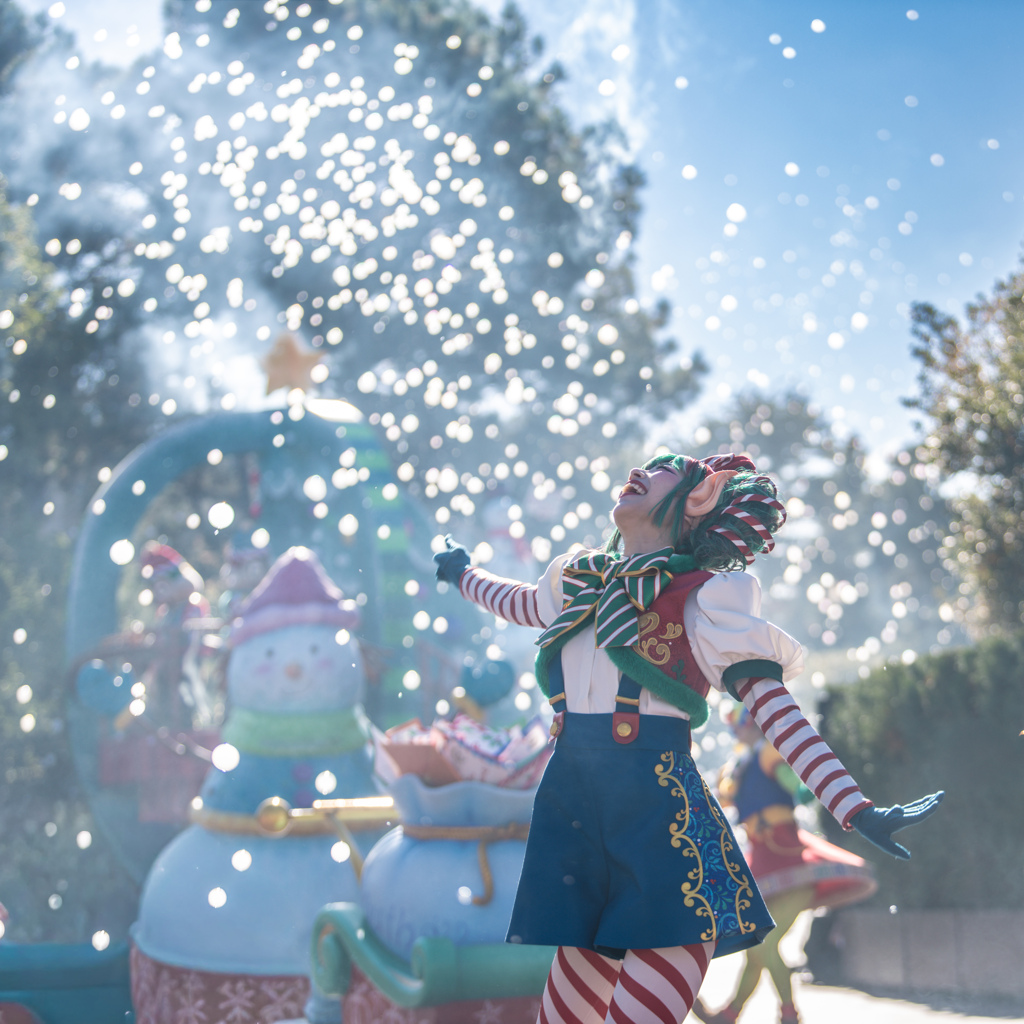 ディズニー クリスマス2025