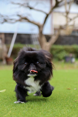 雨の合間に