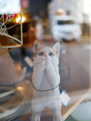 子猫