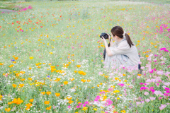 お花畑