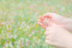 遠くまで遠くまで行ってらっしゃい