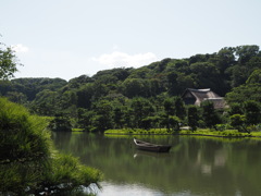初投稿