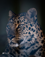東武動物公園①