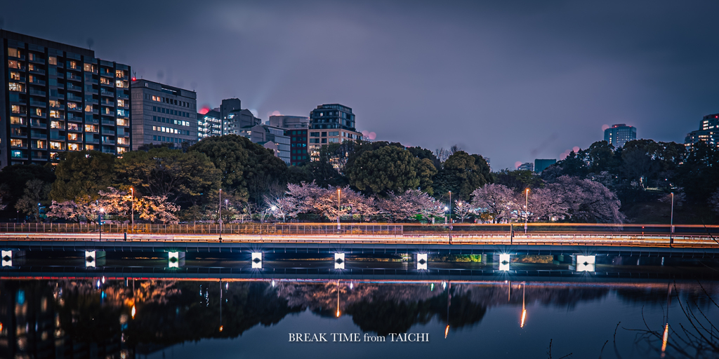 都内の桜