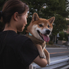 ご満悦なSHIBA