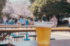 お外で飲むビールは旨いんじゃ