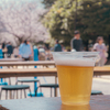 お外で飲むビールは旨いんじゃ