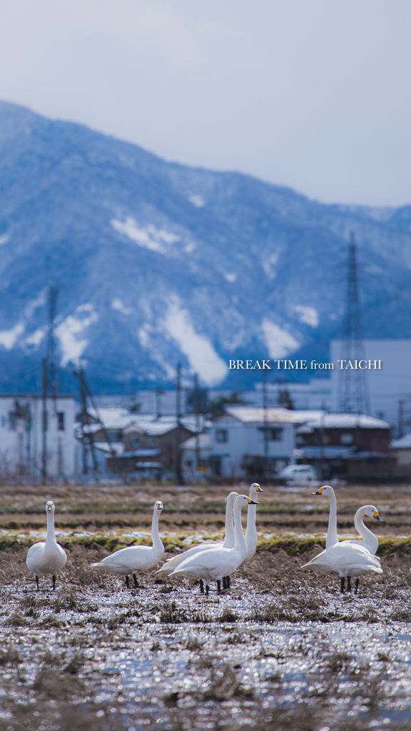 新潟の日常風景