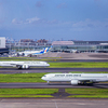 JALで空の旅を！