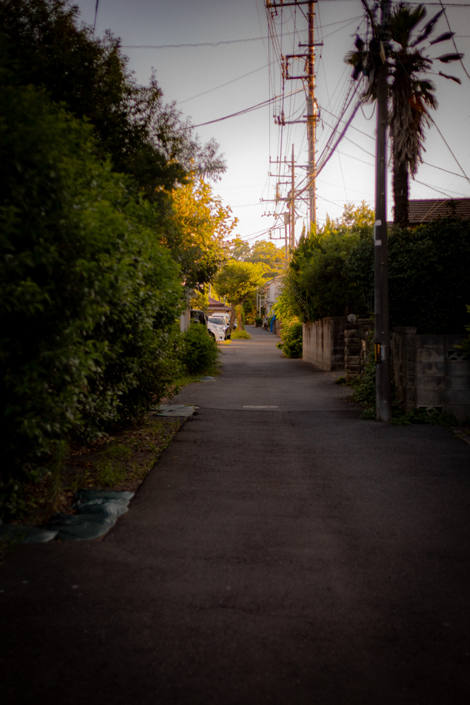 夕暮れ時の帰り道