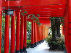 田村神社の鳥居