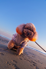 初めてのレフ版撮影