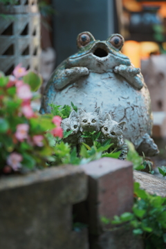 DSC03277