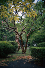 DSC02745