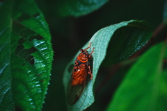 DSC00899