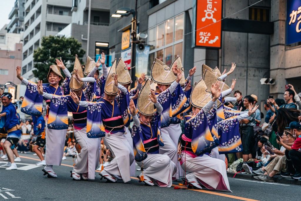 阿波踊りVI