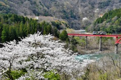 JR西 ｷﾊ120-201