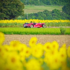summer driving
