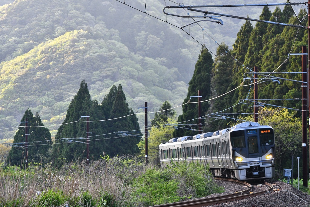 JR西 新快速 225系