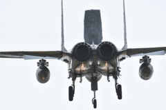 F-15J  Eagle