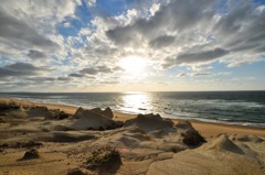 The beach of memories