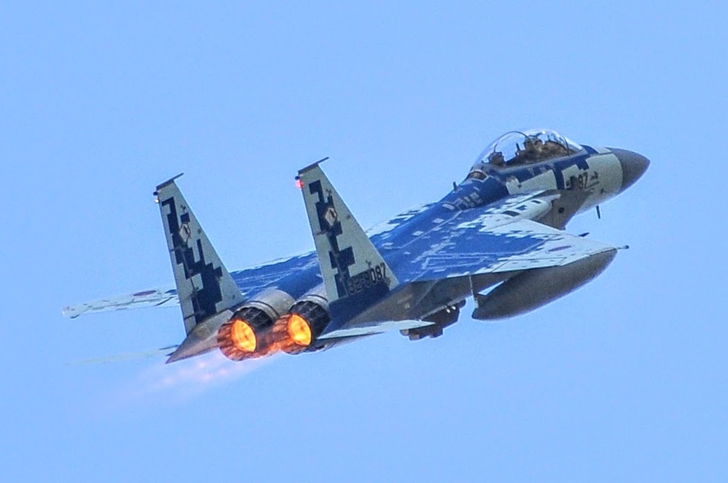 Aggressor Squadron①