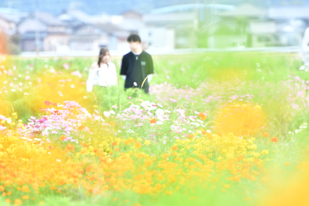 Lovers' Paradise