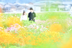 Lovers' Paradise
