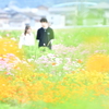 Lovers' Paradise