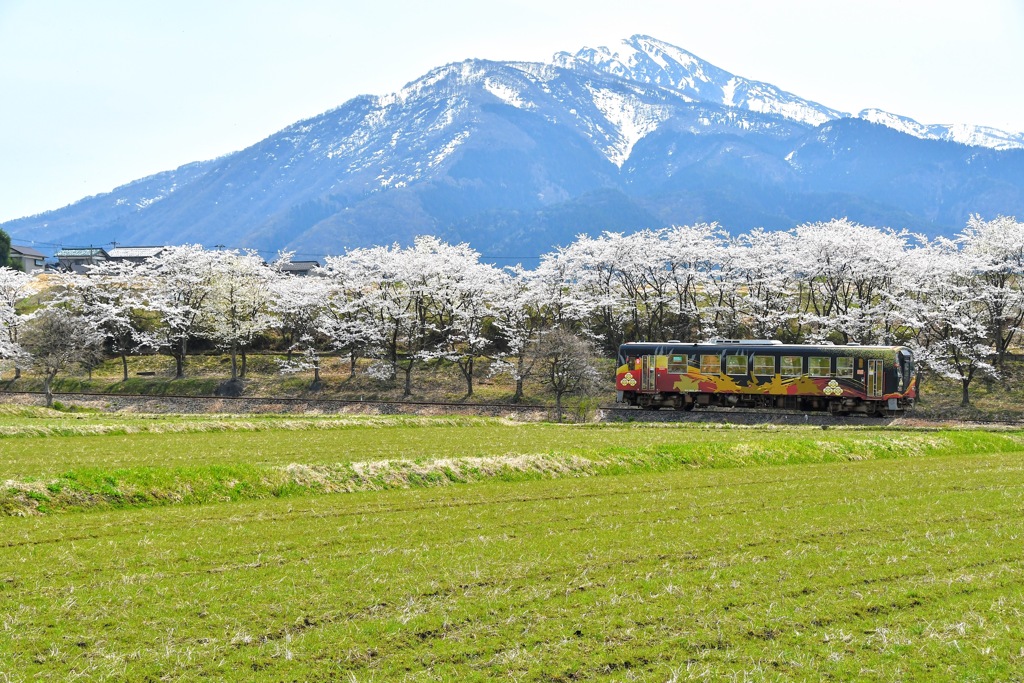 JR西 ｷﾊ120-204