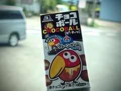 The Taste of First Love