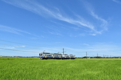 Riding on a rice cloud