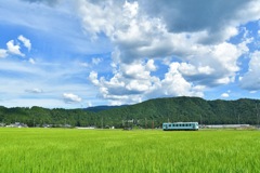 JR西 ｷﾊ120-202