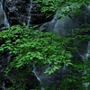 Ryūsōgataki