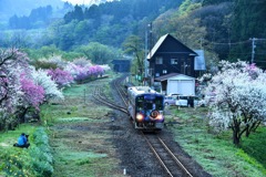JR西 ｷﾊ120-201
