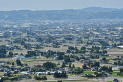 砺波平野の散居村