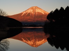 Mt.Fuji