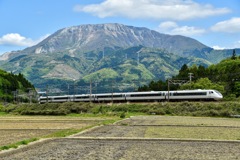 JR東海    特急しらさぎ5号