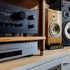 YAMAHA   NS-1 classic
