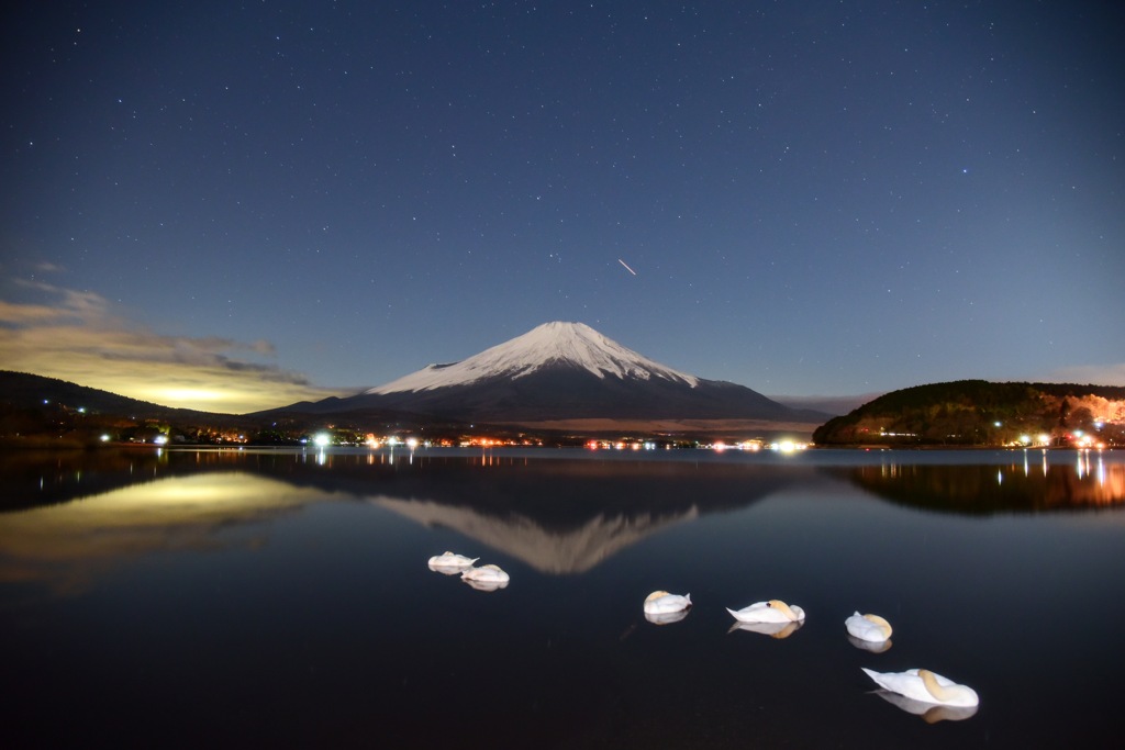 good night swan