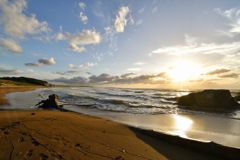 Katano coast