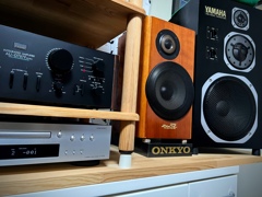 Victor SX-500DE eterno