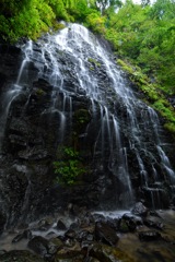 Ryūsōgataki
