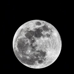 Worm Moon ②